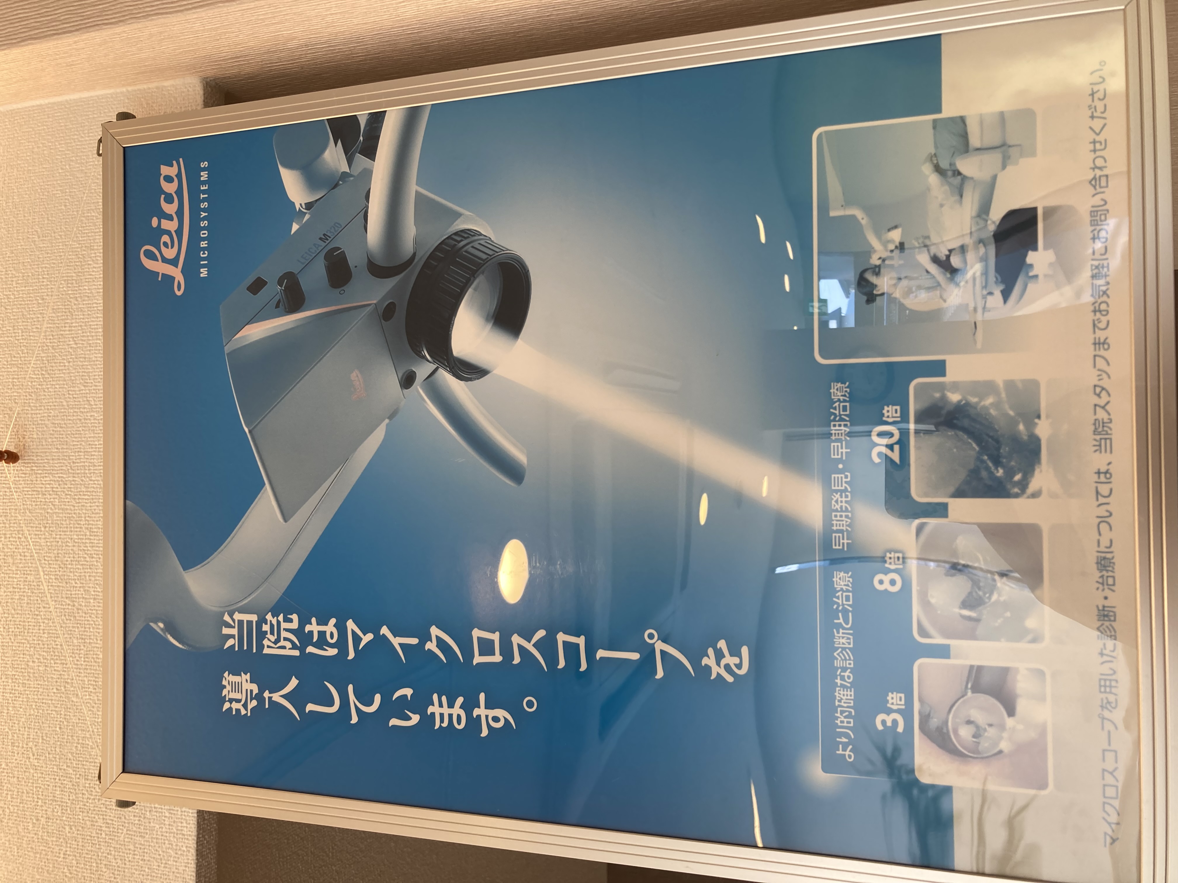 ダウンロード